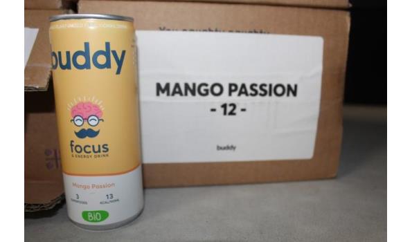 plm 48 blikjes à 250ml Buddy Focus, Mango Passion, t.h.t. 8/24